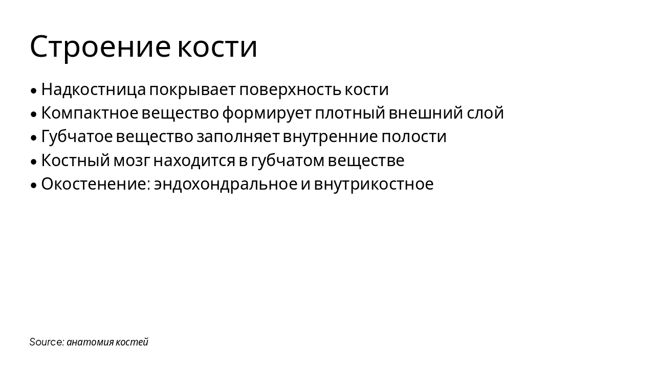 Slide 3 - Строение кости