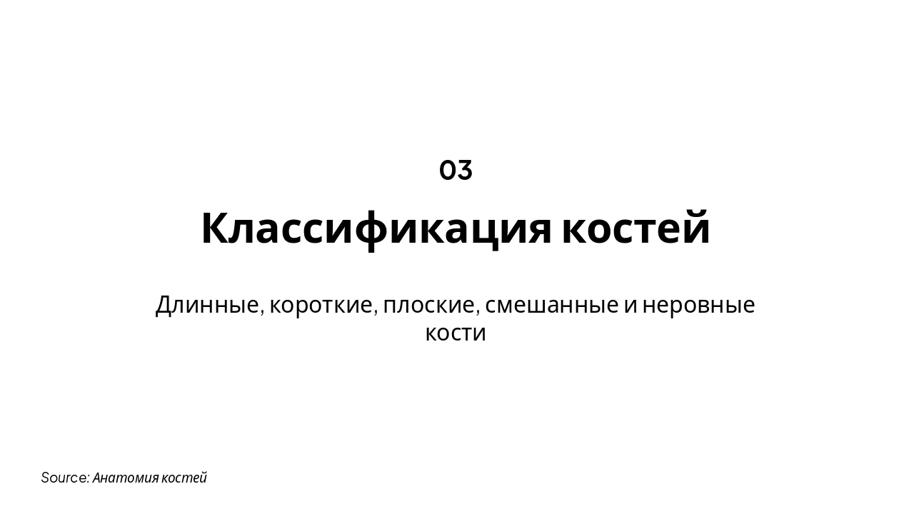 Slide 4 - Классификация костей