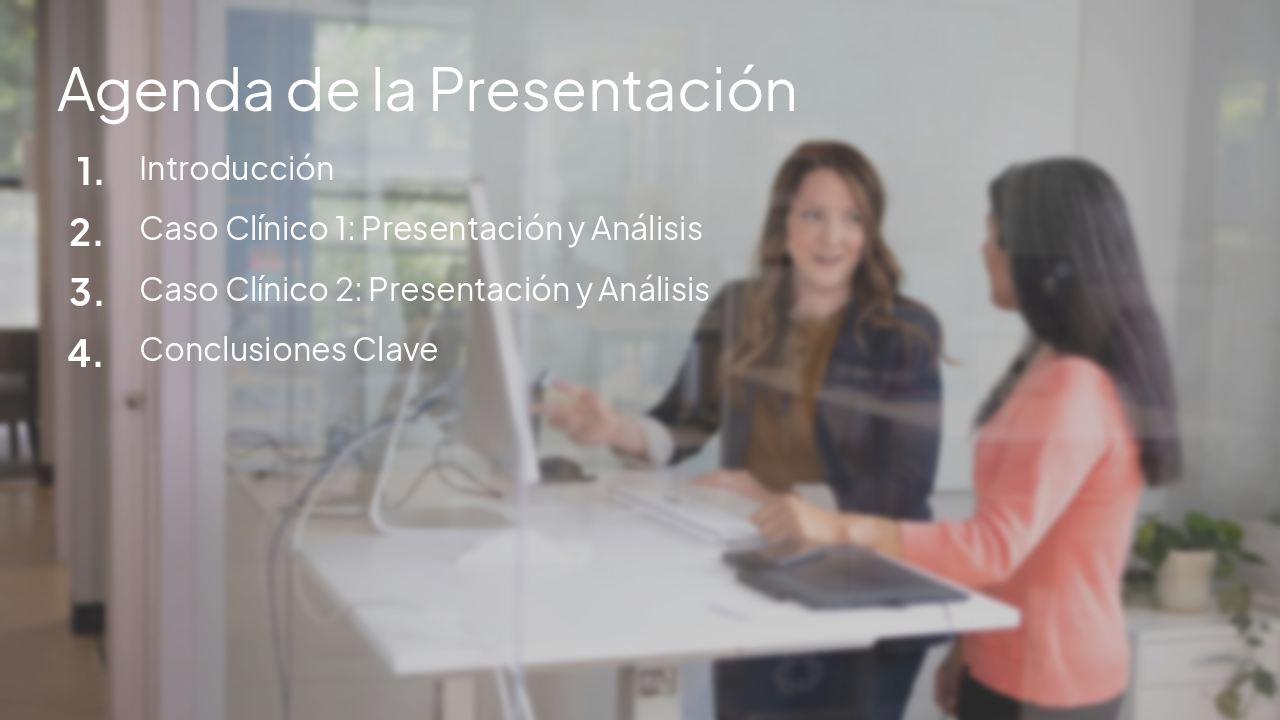 Slide 2 - Agenda de la Presentación