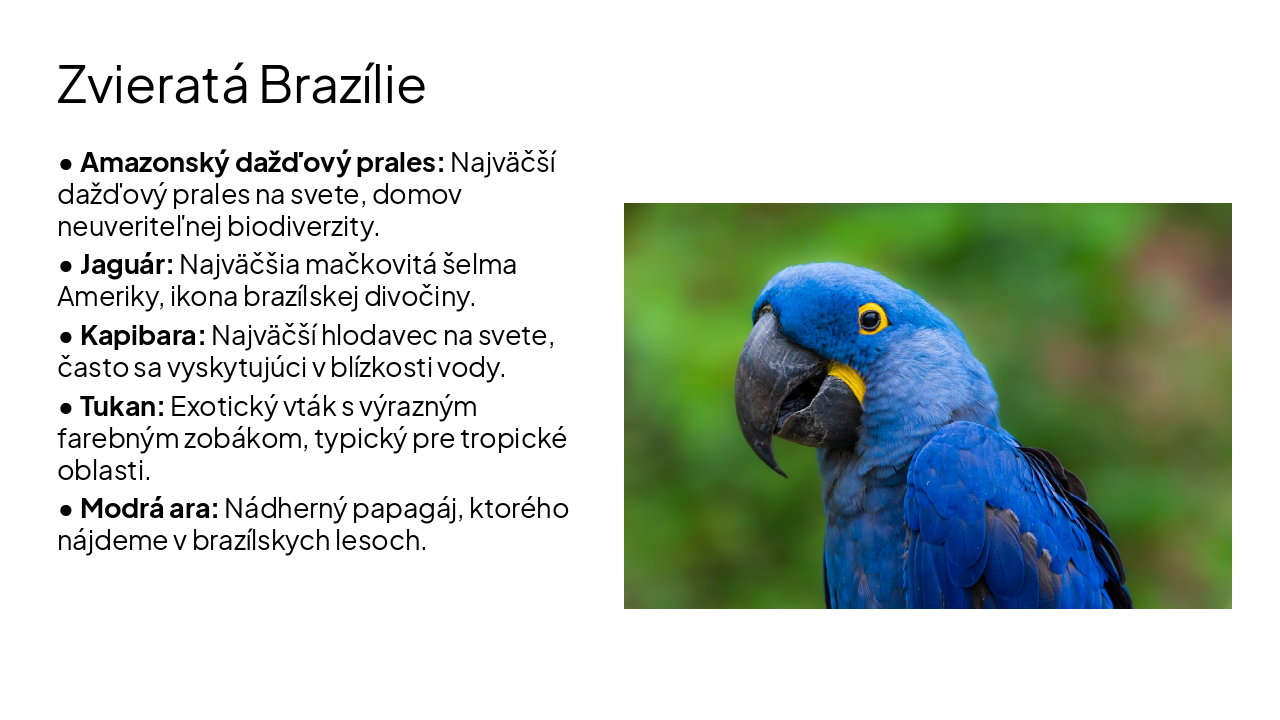 Slide 8 - Zvieratá Brazílie