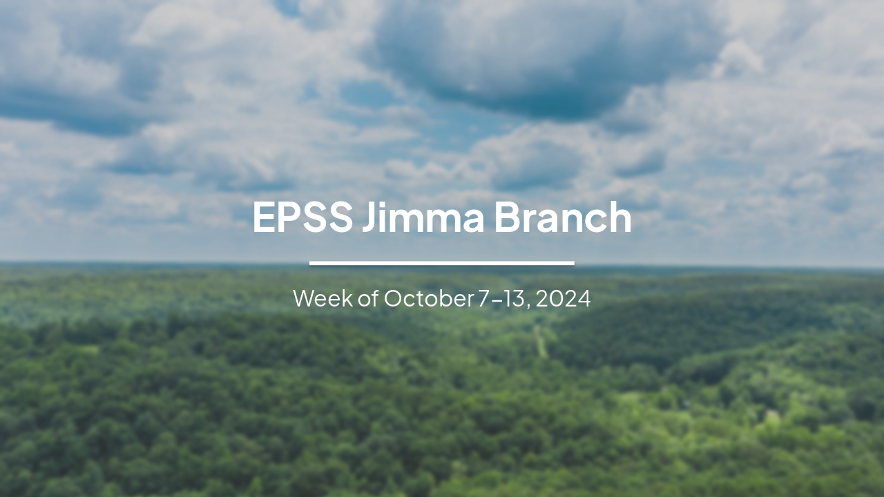EPSS Jimma Branch Weekly Performance Review: October 7-13, 2024