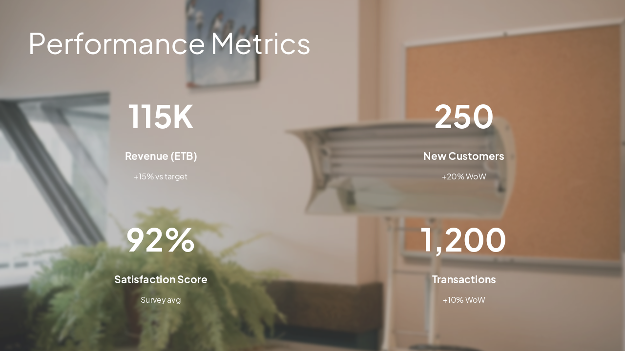 Slide 4 - Performance Metrics
