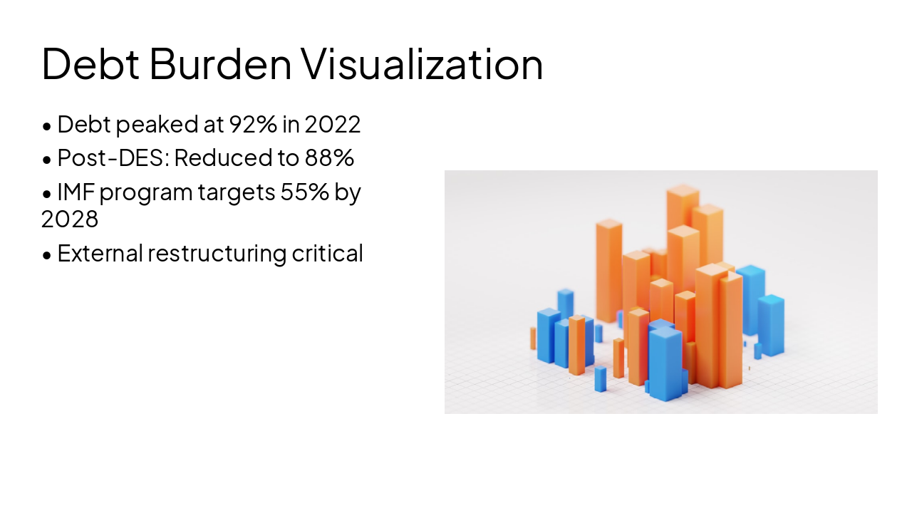 Slide 10 - Debt Burden Visualization