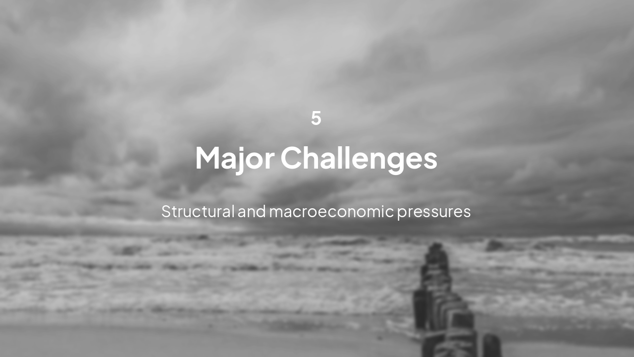 Slide 8 - Challenges & Risks