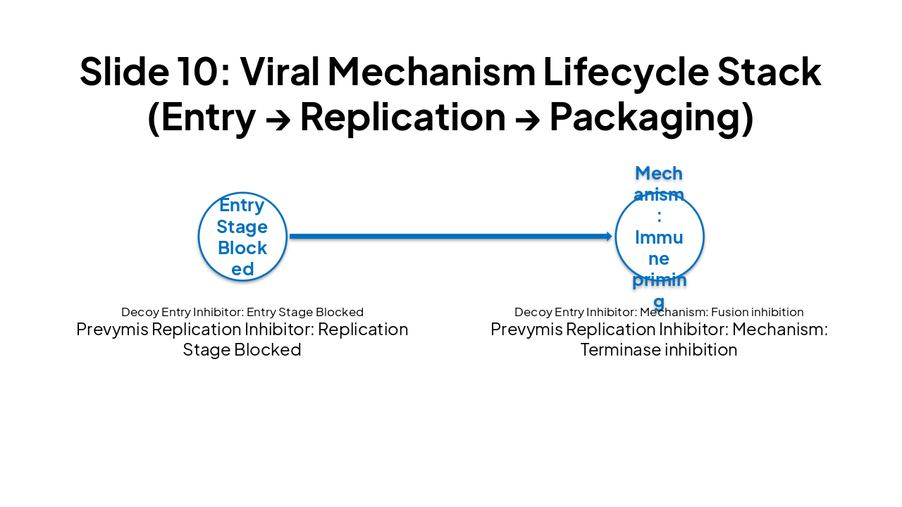 Slide 3 - Slide 10: Viral Mechanism Lifecycle Stack (Entry → Replication → Packaging)