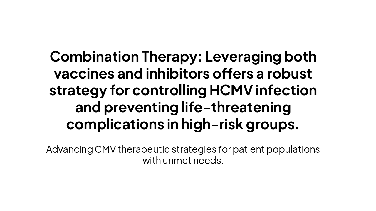 Slide 5 - Summary of Strategic Approach