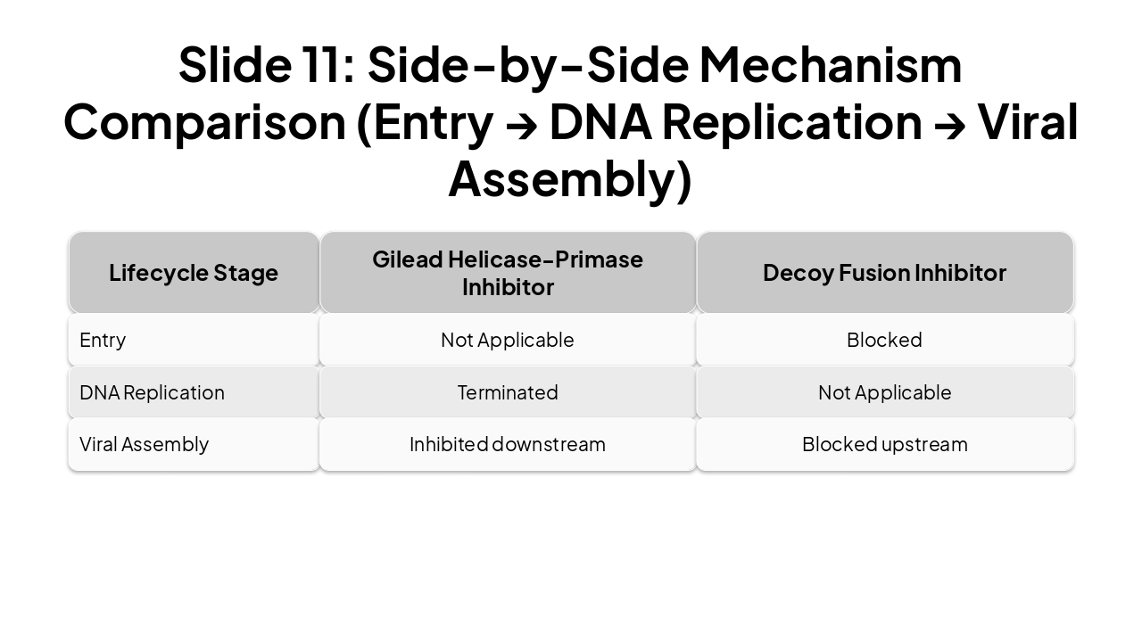 Slide 4 - Slide 11: Side-by-Side Mechanism Comparison (Entry → DNA Replication → Viral Assembly)