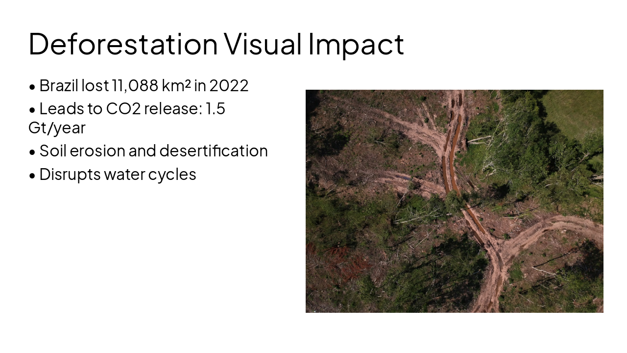 Slide 4 - Deforestation Visual Impact