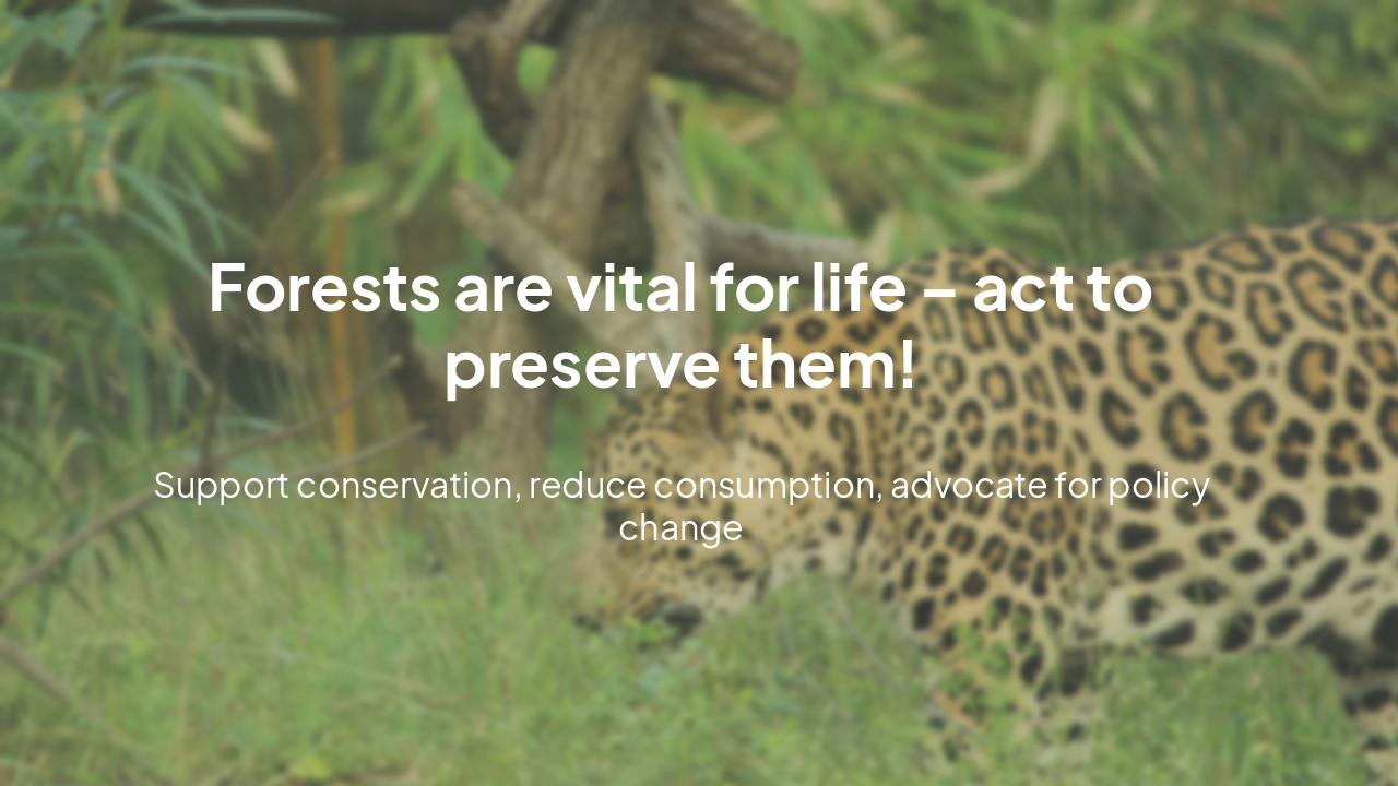 Slide 10 - Protect Forests Now