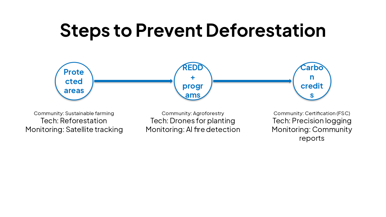 Slide 9 - Steps to Prevent Deforestation