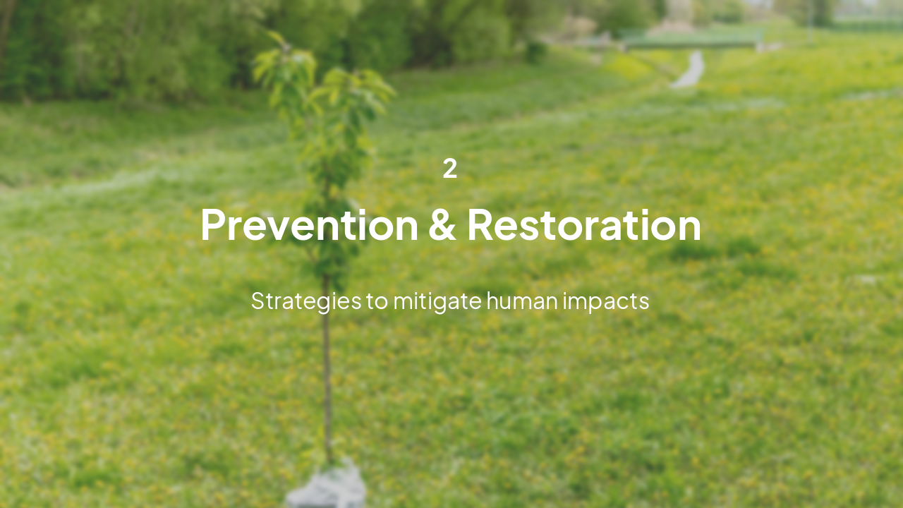 Slide 8 - Conservation Efforts