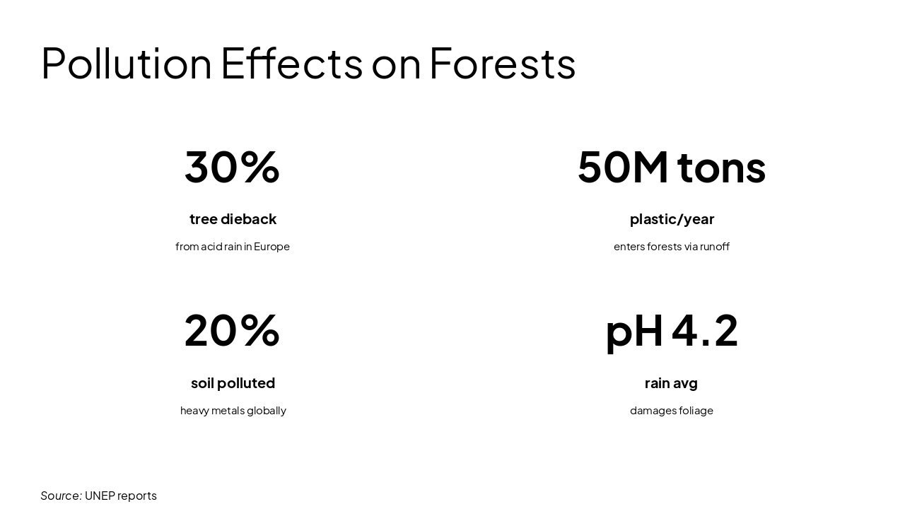 Slide 6 - Pollution Effects on Forests