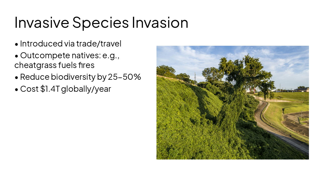 Slide 7 - Invasive Species Invasion