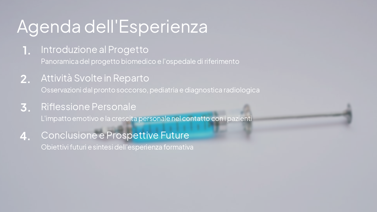 Slide 2 - Agenda dell'Esperienza