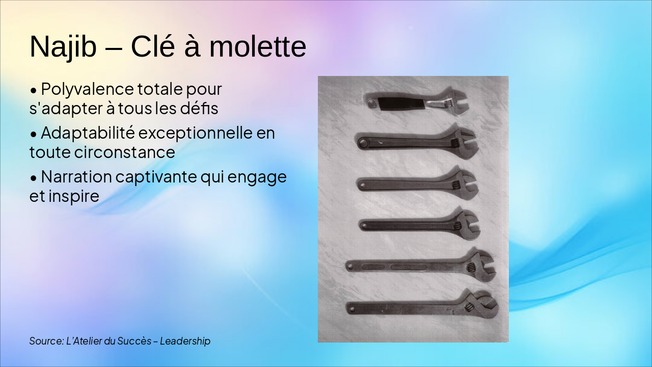 Slide 5 - Najib – Clé à molette