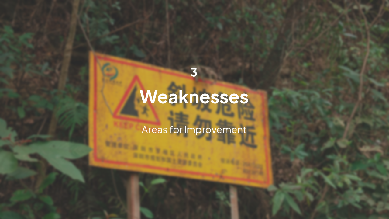 Slide 8 - Weaknesses