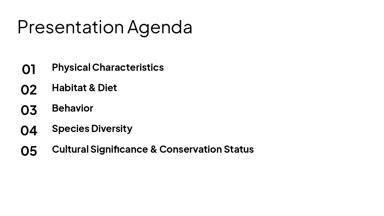 Slide 2 - Presentation Agenda
