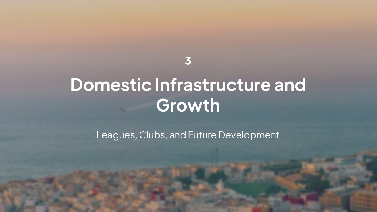 Slide 11 - Domestic Football Ecosystem