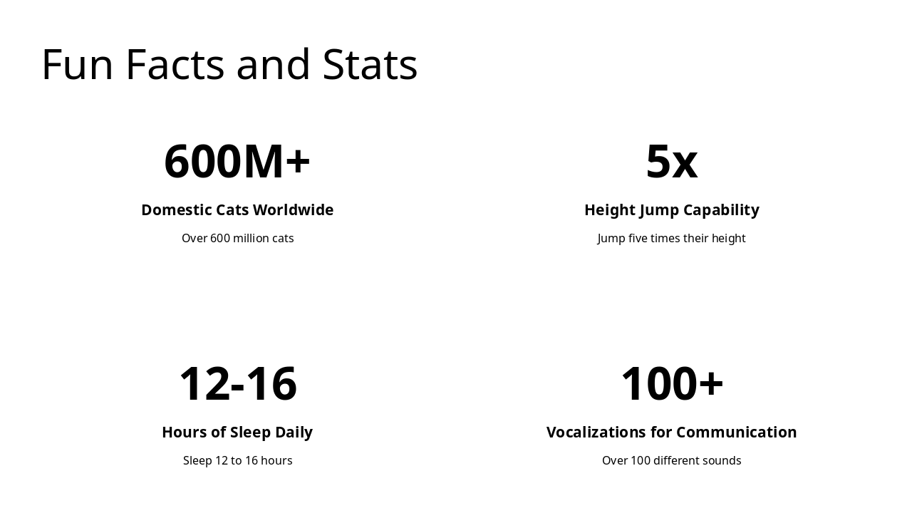 Slide 8 - Fun Facts and Stats