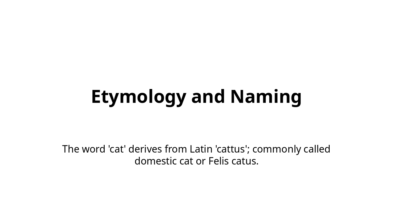 Slide 3 - Etymology and Naming