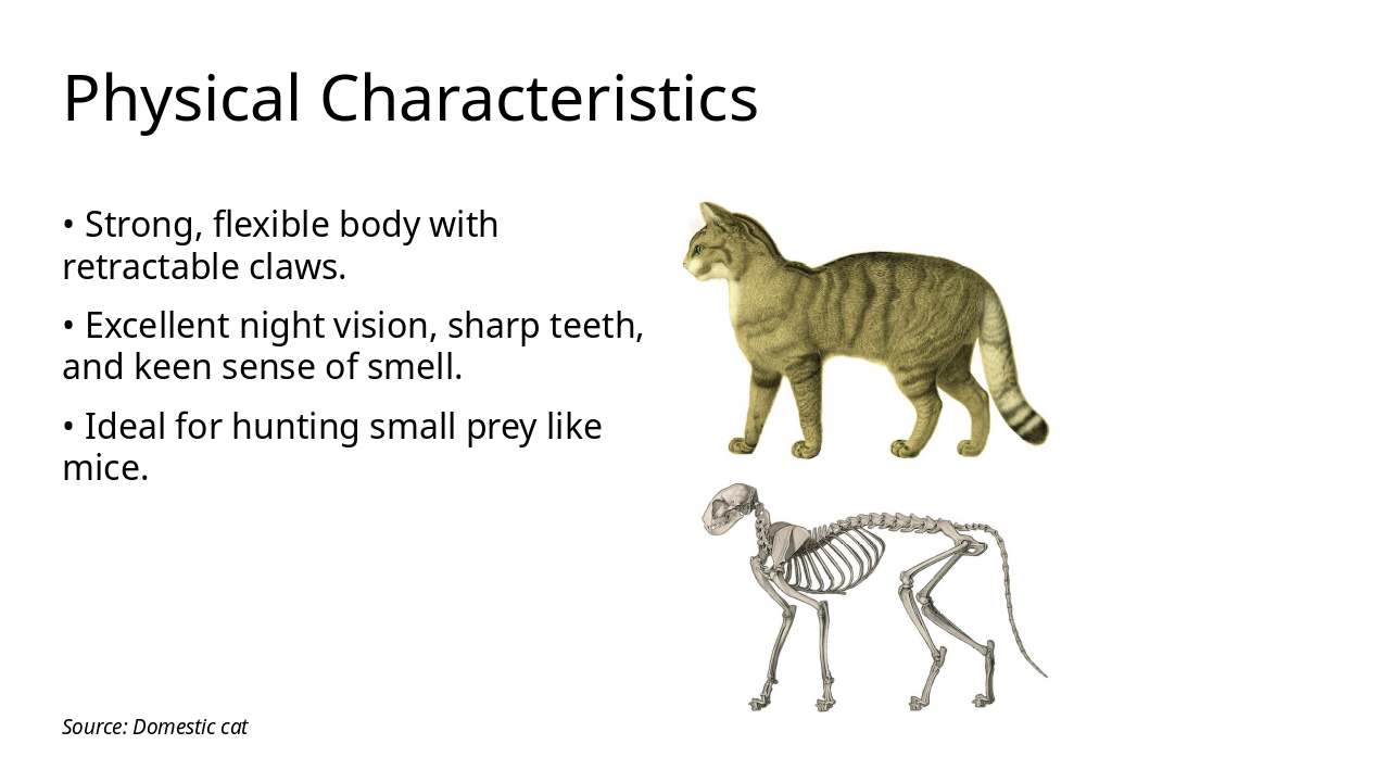 Slide 6 - Physical Characteristics