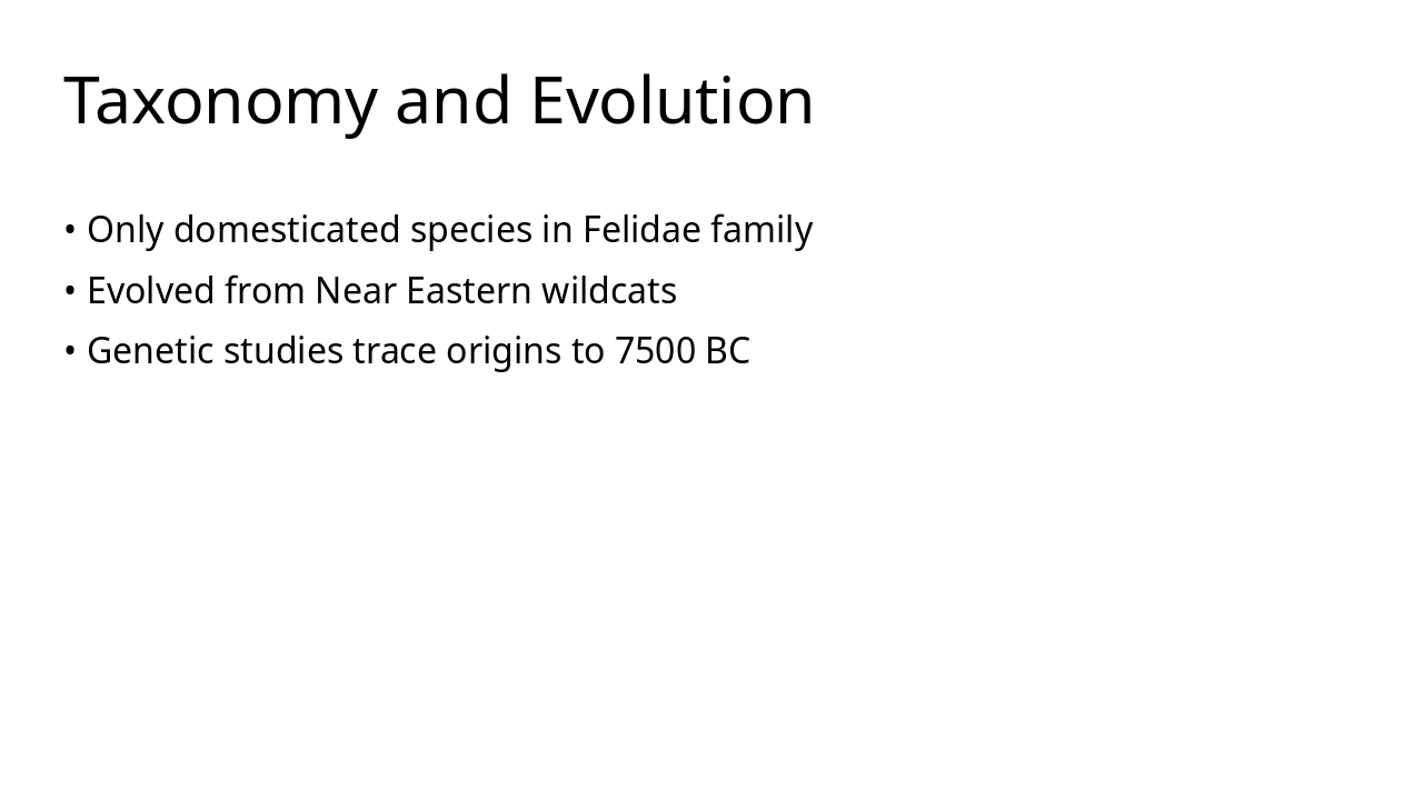 Slide 4 - Taxonomy and Evolution