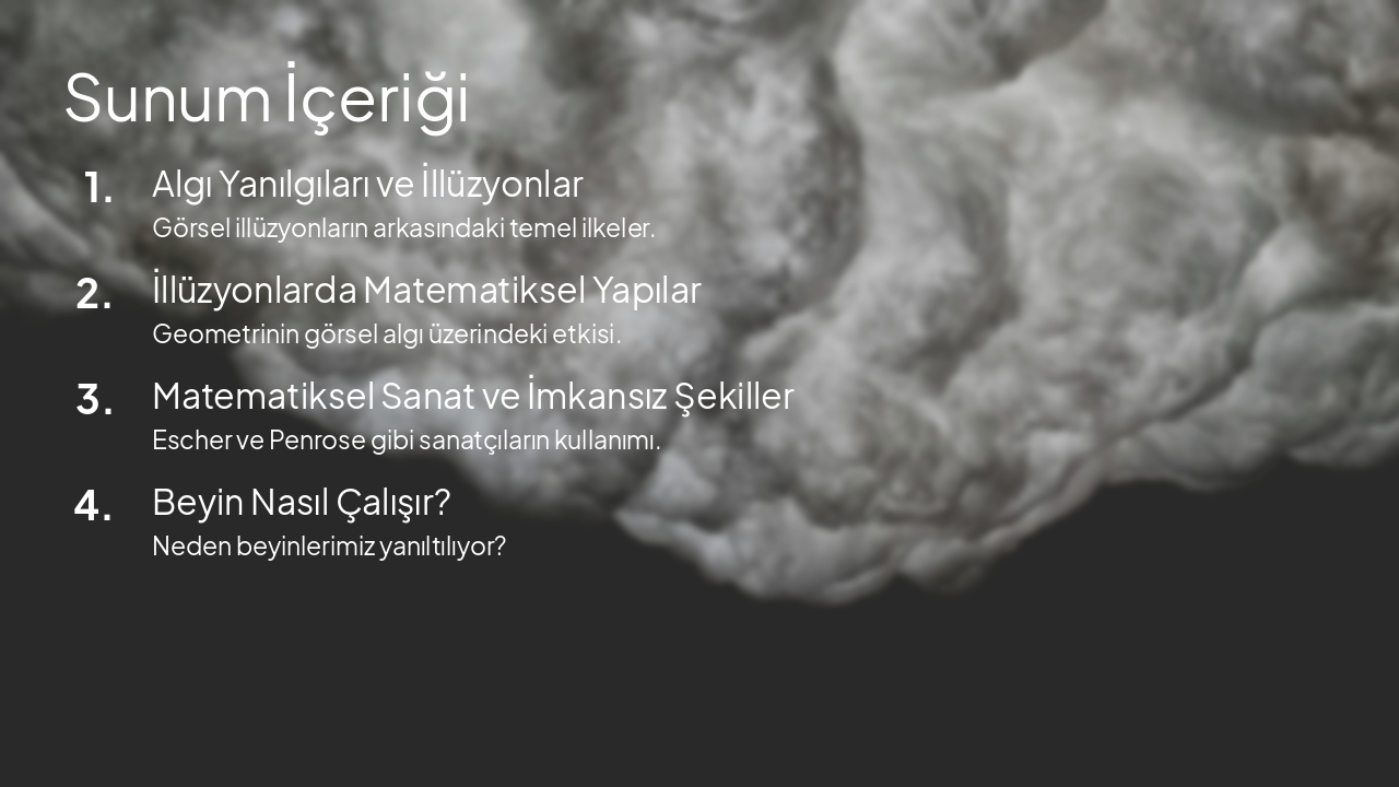 Slide 2 - Sunum İçeriği
