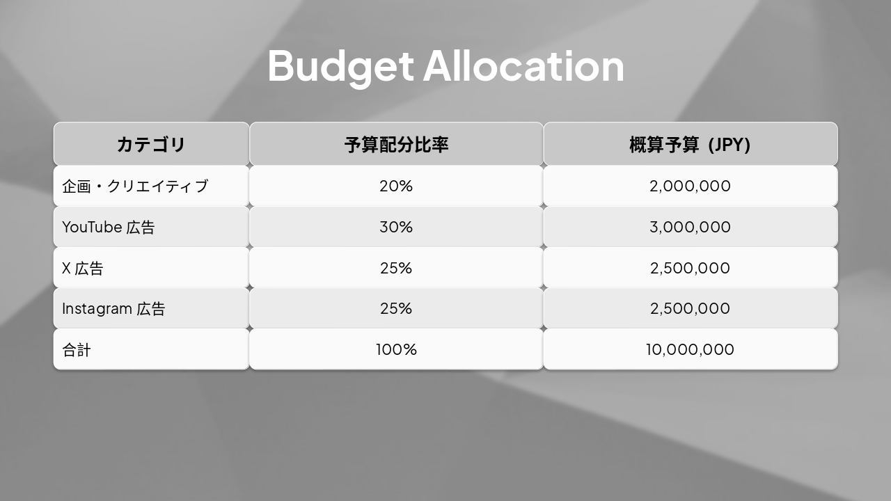 Slide 12 - Budget Allocation