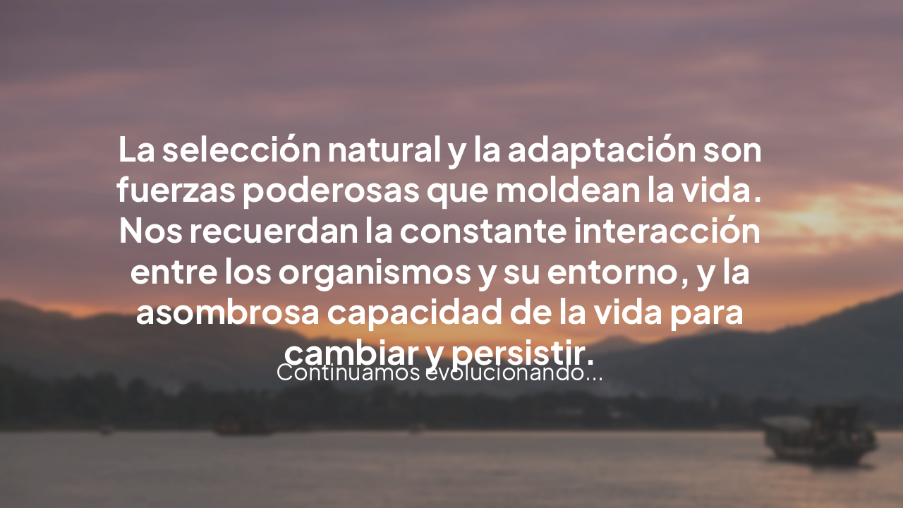 Slide 19 - Conclusiones