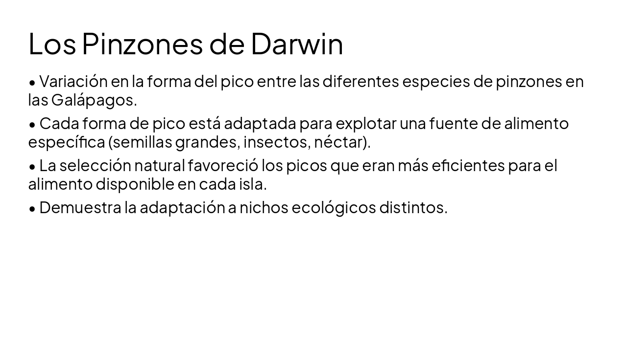 Slide 12 - Los Pinzones de Darwin