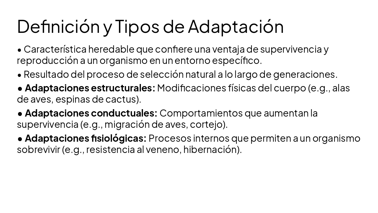 Slide 8 - Definición y Tipos de Adaptación