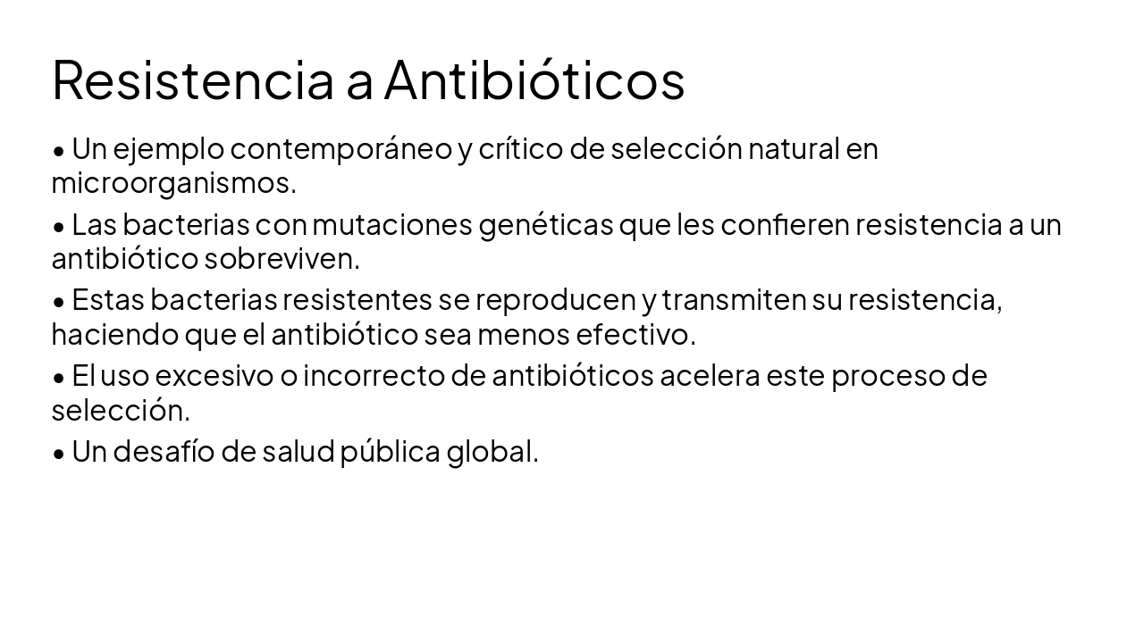 Slide 16 - Resistencia a Antibióticos