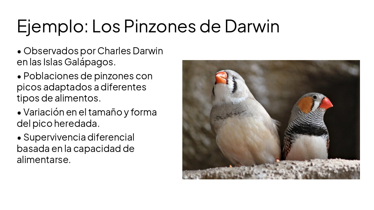 Slide 5 - Ejemplo: Los Pinzones de Darwin