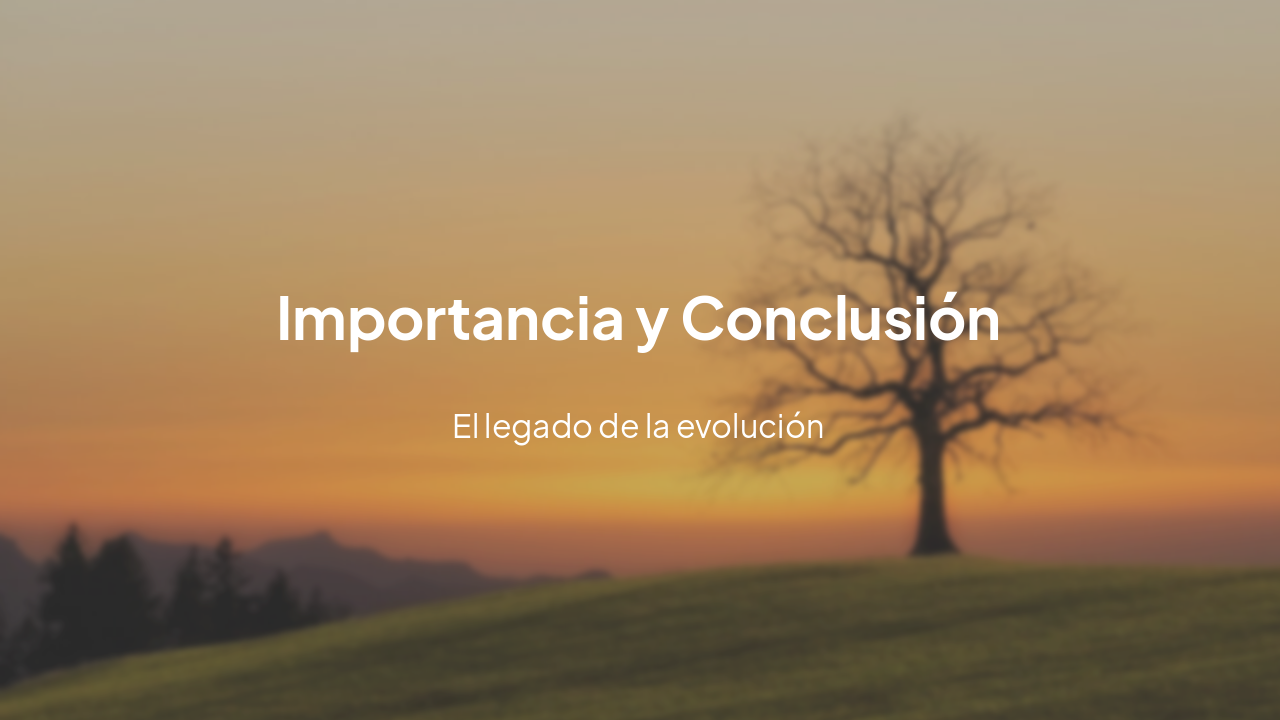 Slide 17