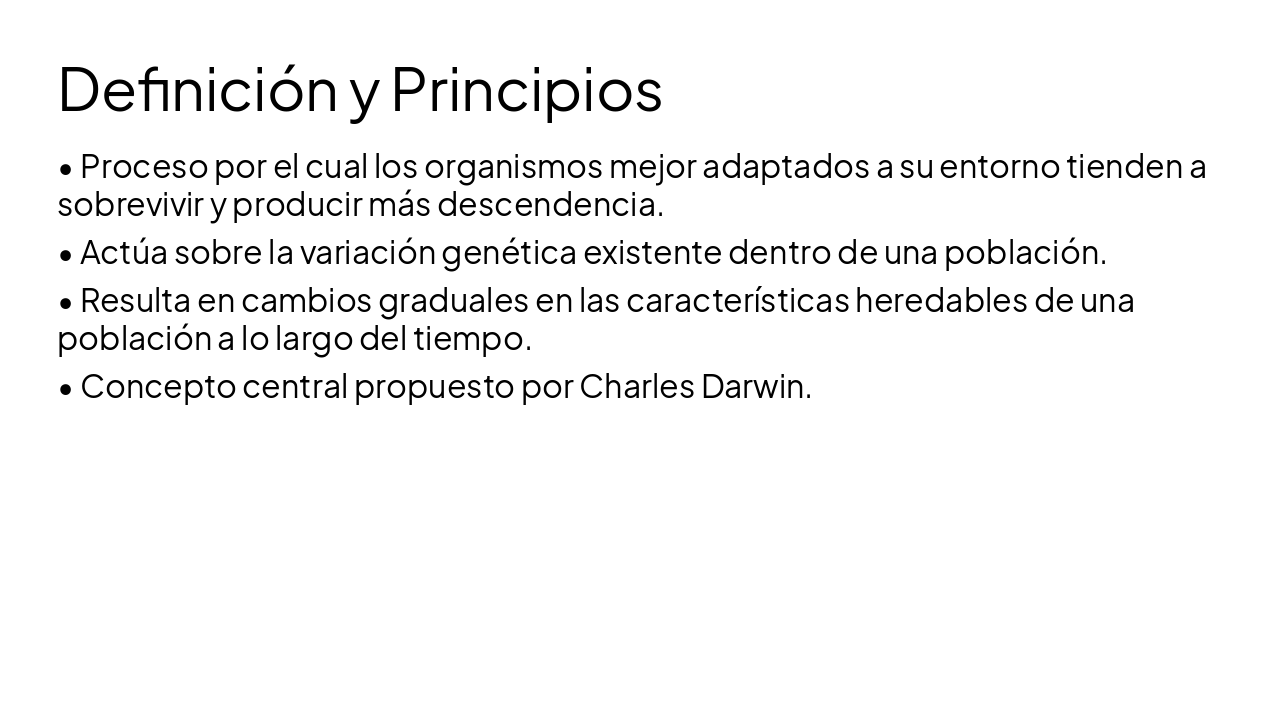 Slide 4 - Definición y Principios