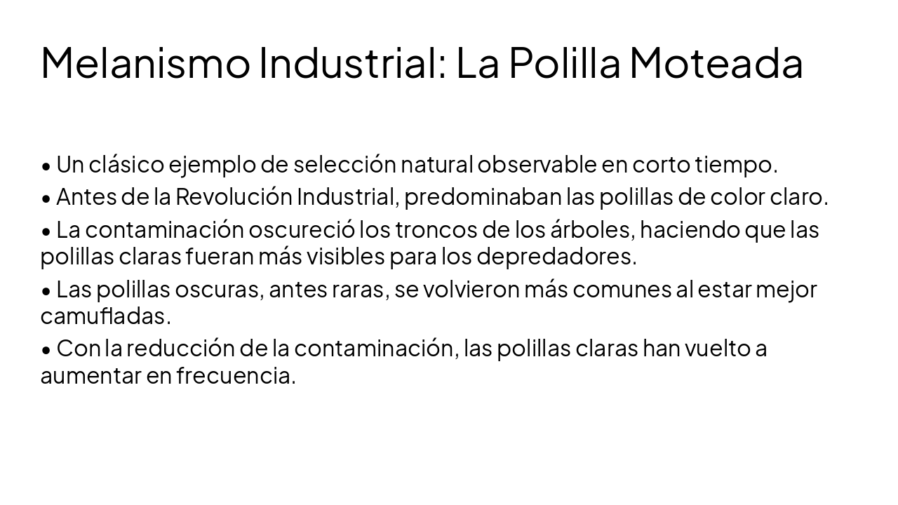 Slide 14 - Melanismo Industrial: La Polilla Moteada