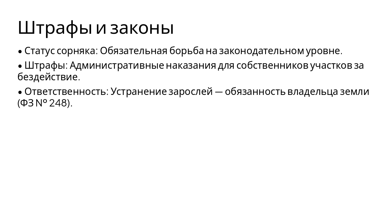 Slide 11 - Штрафы и законы