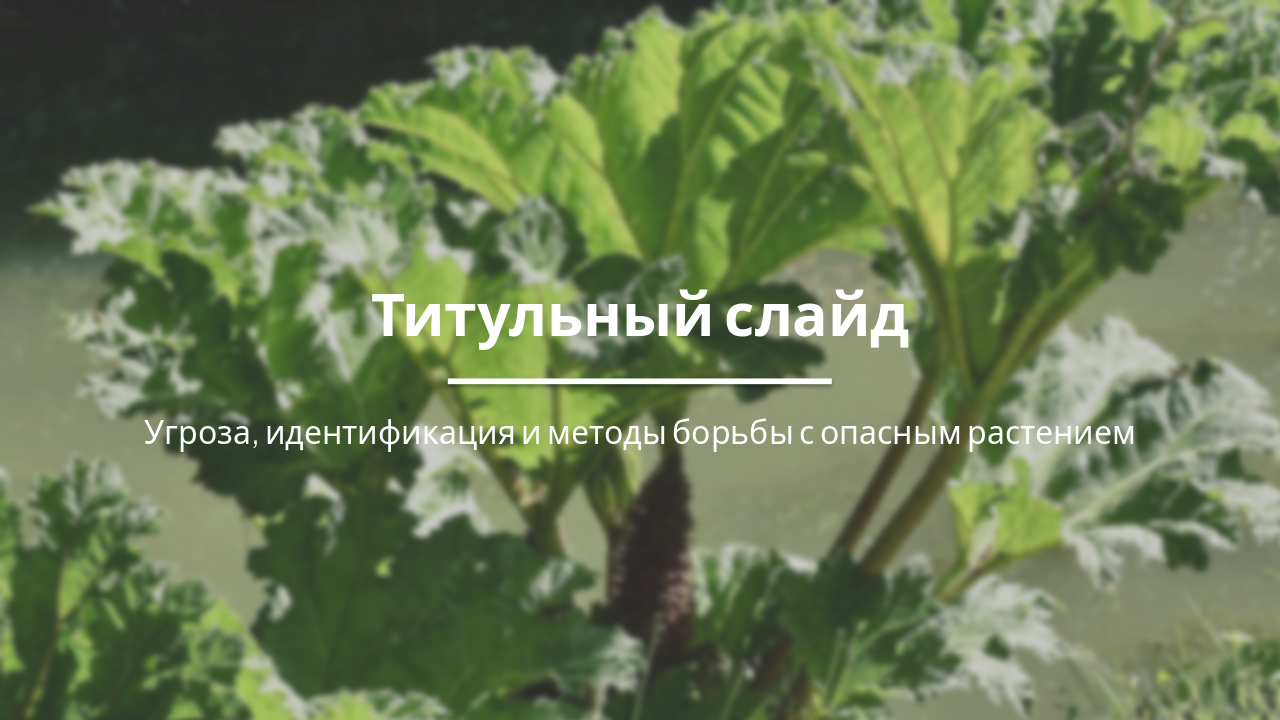 Slide 1 - Титульный слайд