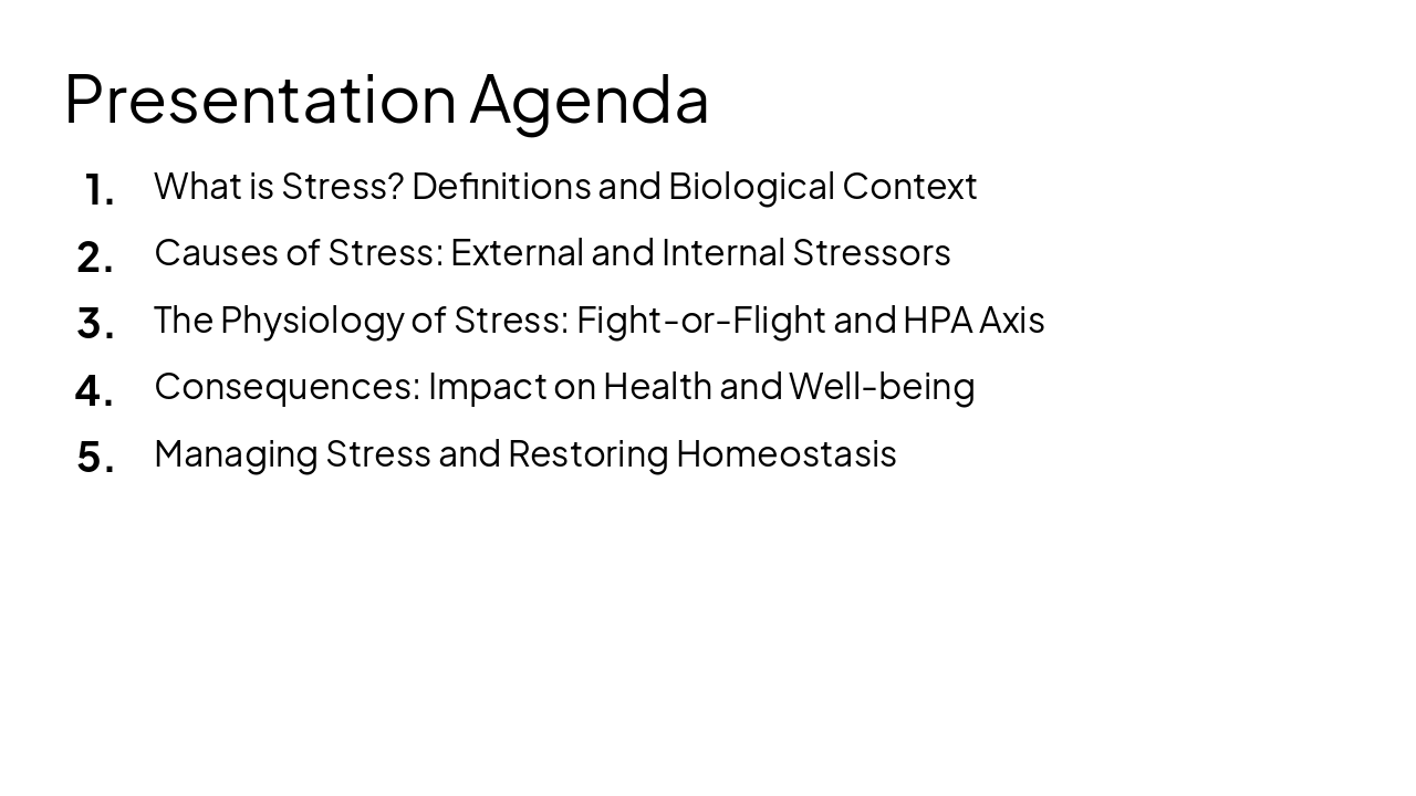 Slide 2 - Presentation Agenda