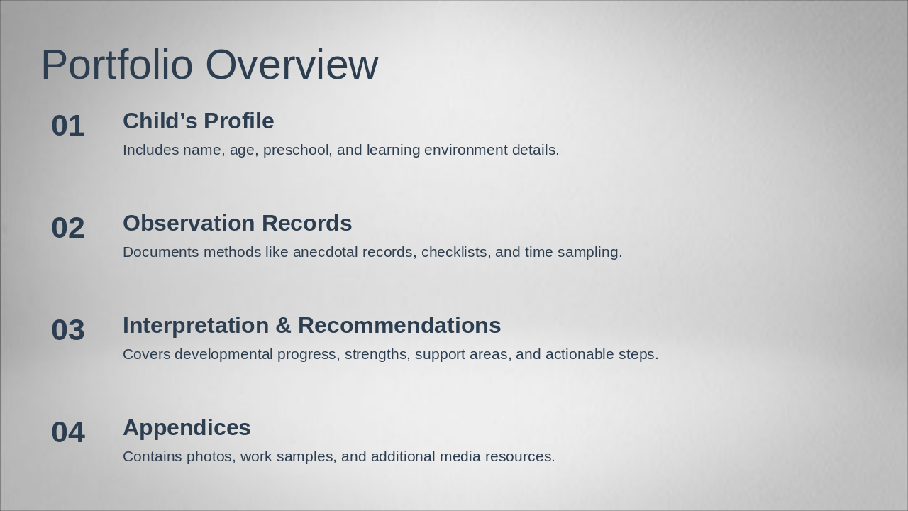 Slide 2 - Portfolio Overview