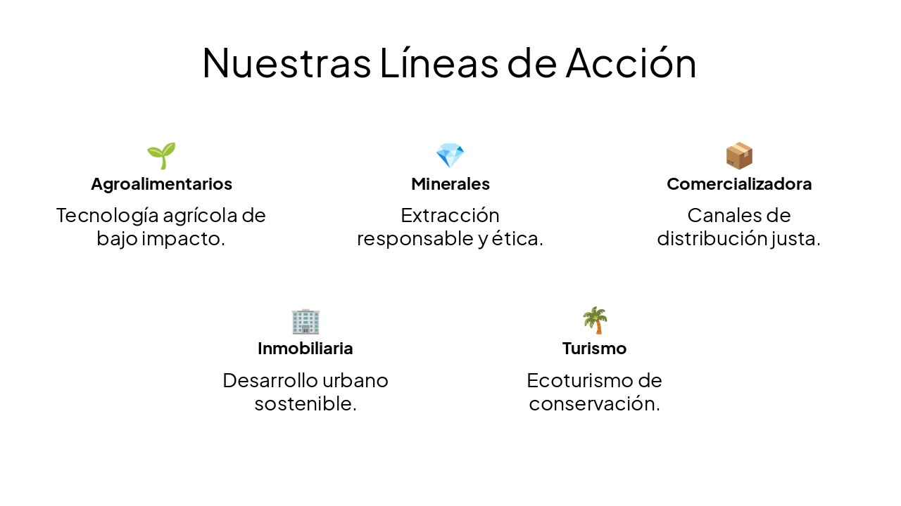 Slide 5 - Nuestras Líneas de Acción
