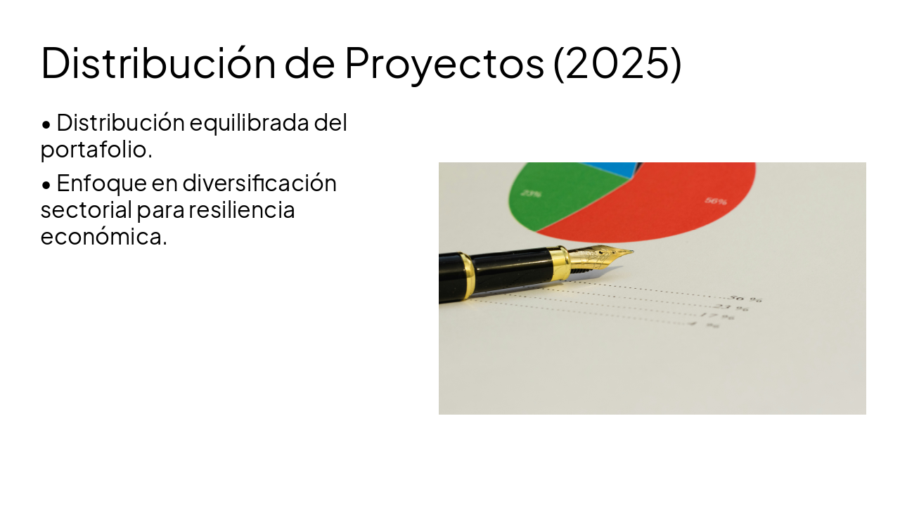 Slide 7 - Distribución de Proyectos (2025)