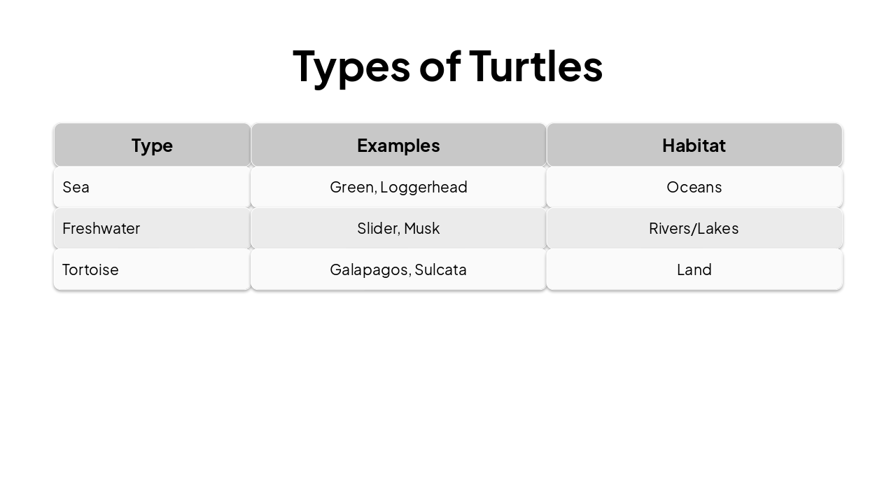 Slide 6 - Types of Turtles