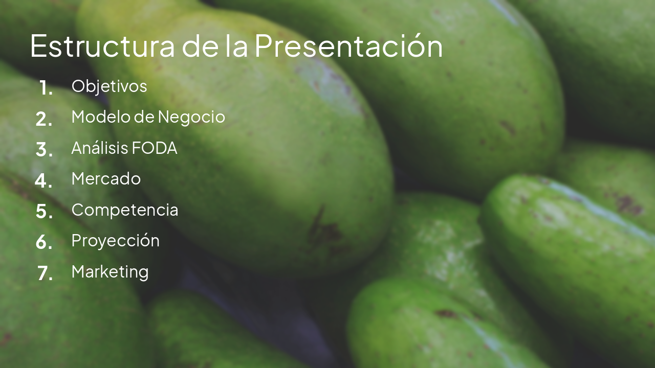 Slide 2 - Estructura de la Presentación