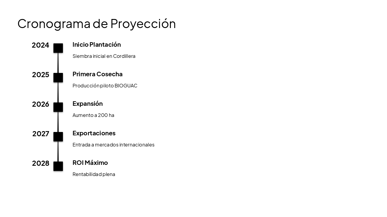Slide 14 - Cronograma de Proyección