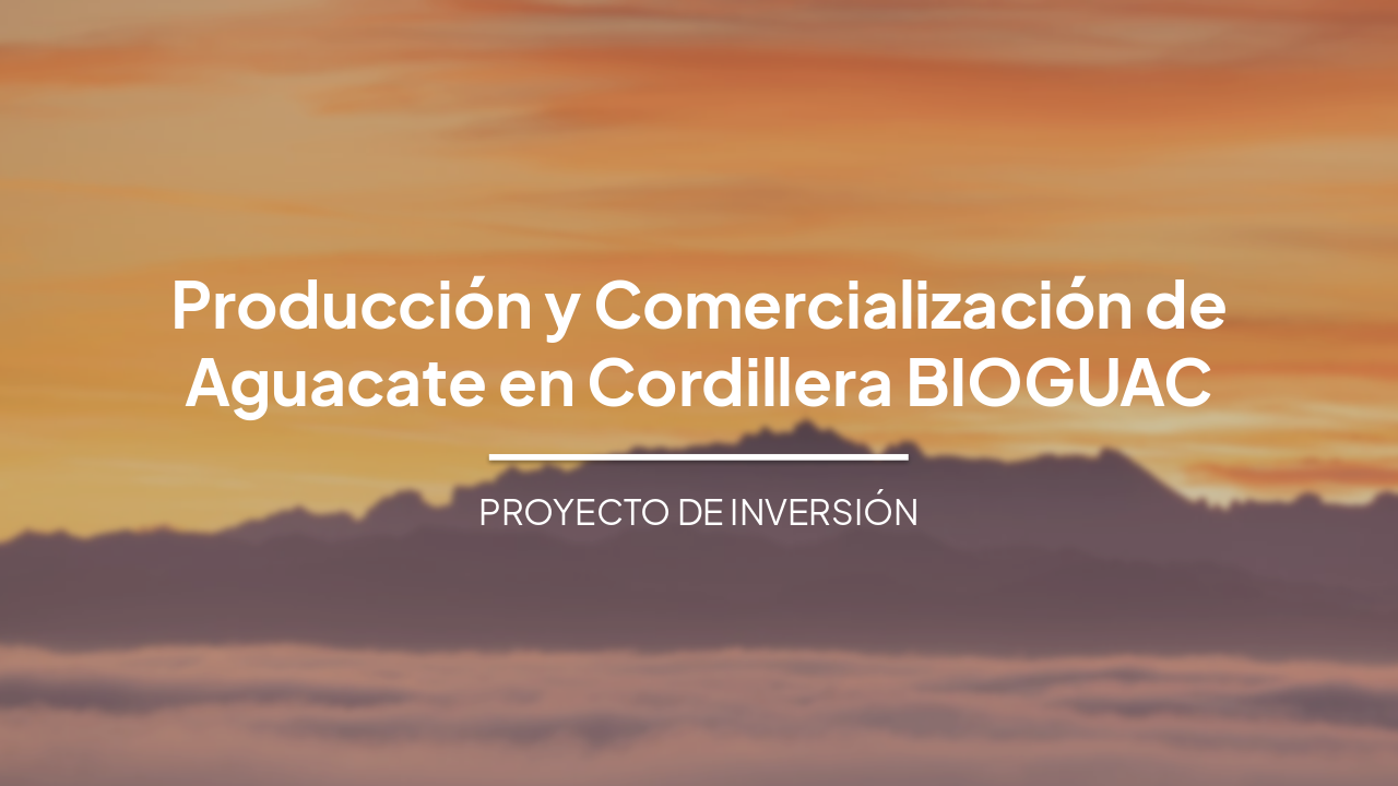 BIOGUAC: Producción Sostenible y Comercialización de Aguacate en Cordillera