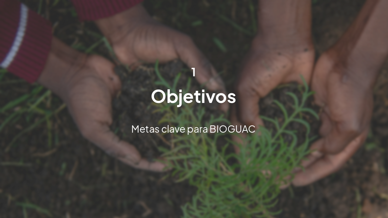 Slide 3 - Objetivos