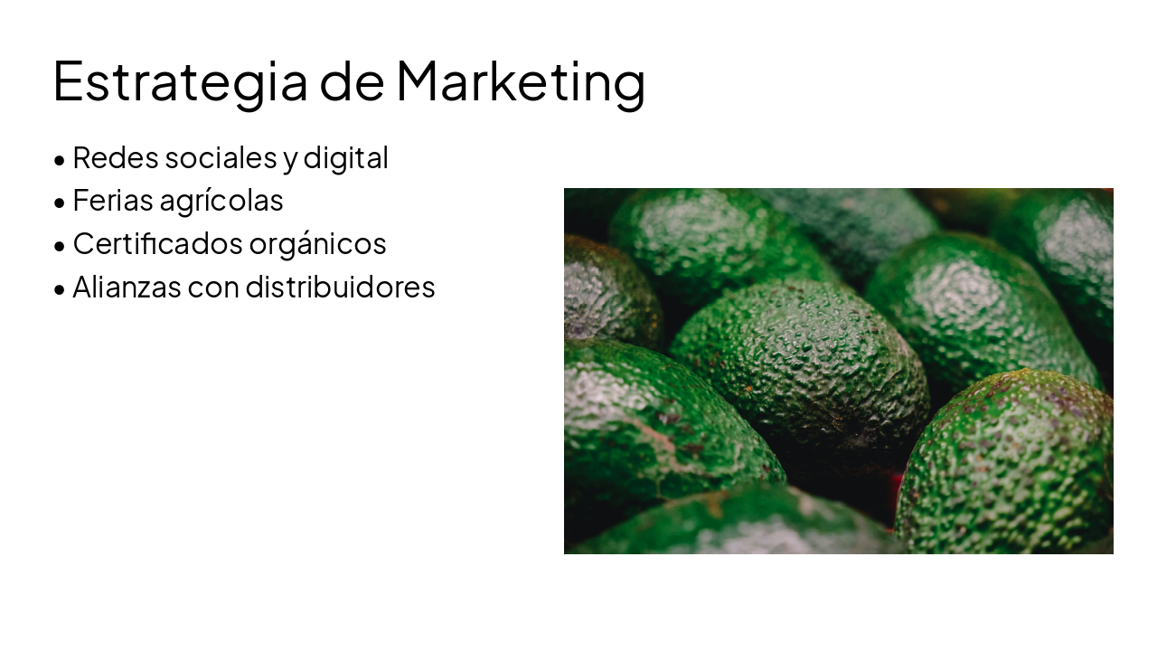 Slide 16 - Estrategia de Marketing