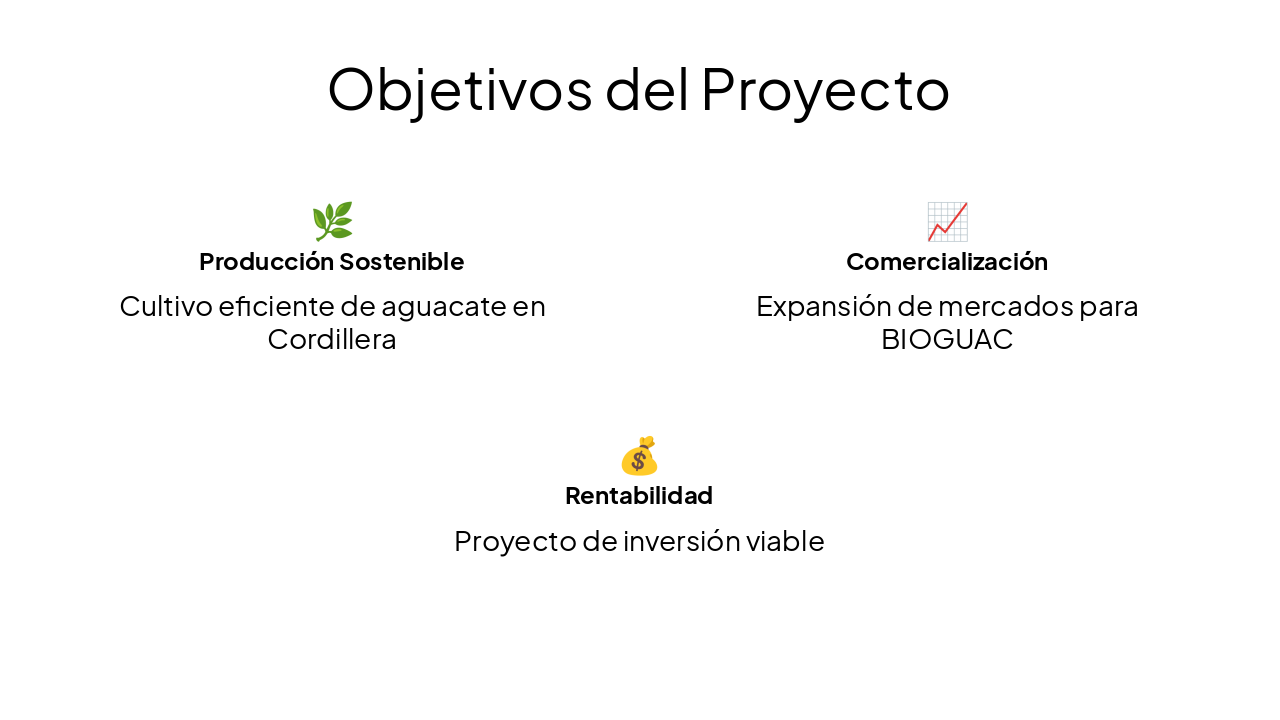 Slide 4 - Objetivos del Proyecto