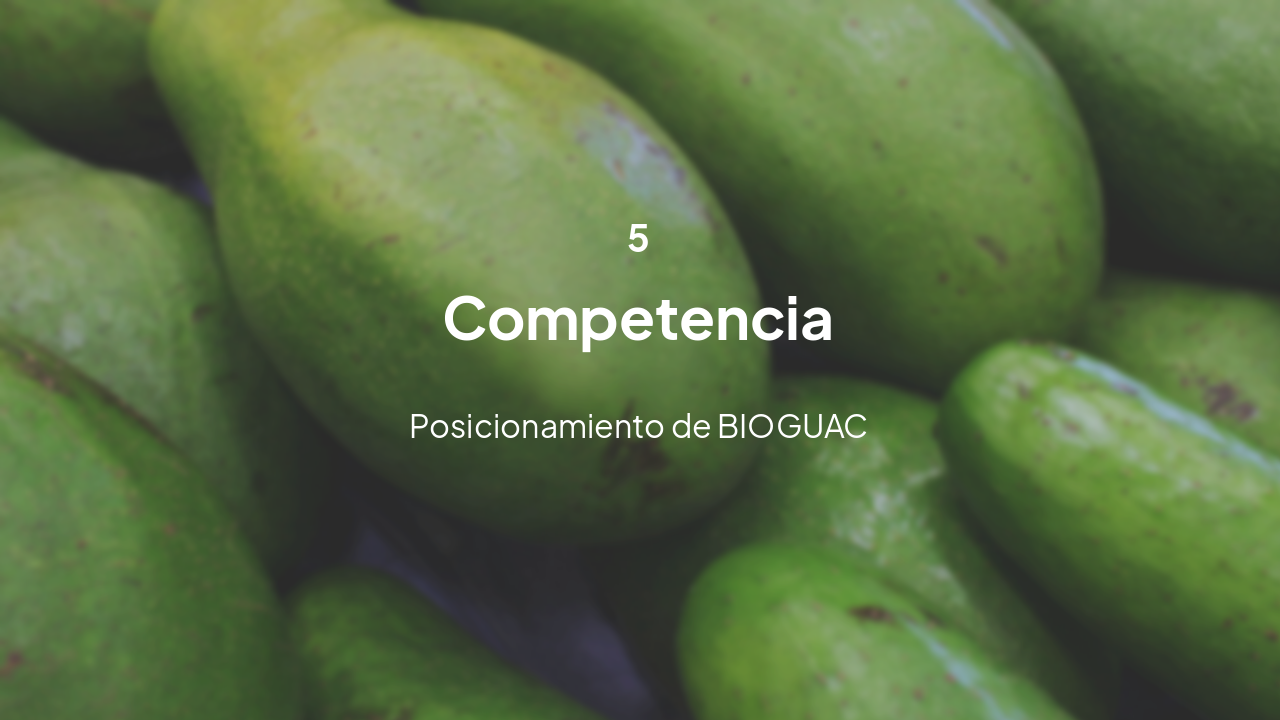 Slide 11 - Competencia